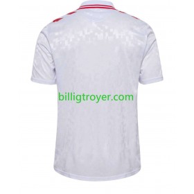 Billige Fotballdrakter Danmark Bortedraktsett EM 2024 Kortermet